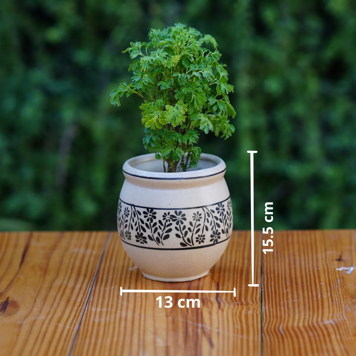 Artisanal Ceramic Planter with Leafy Motif