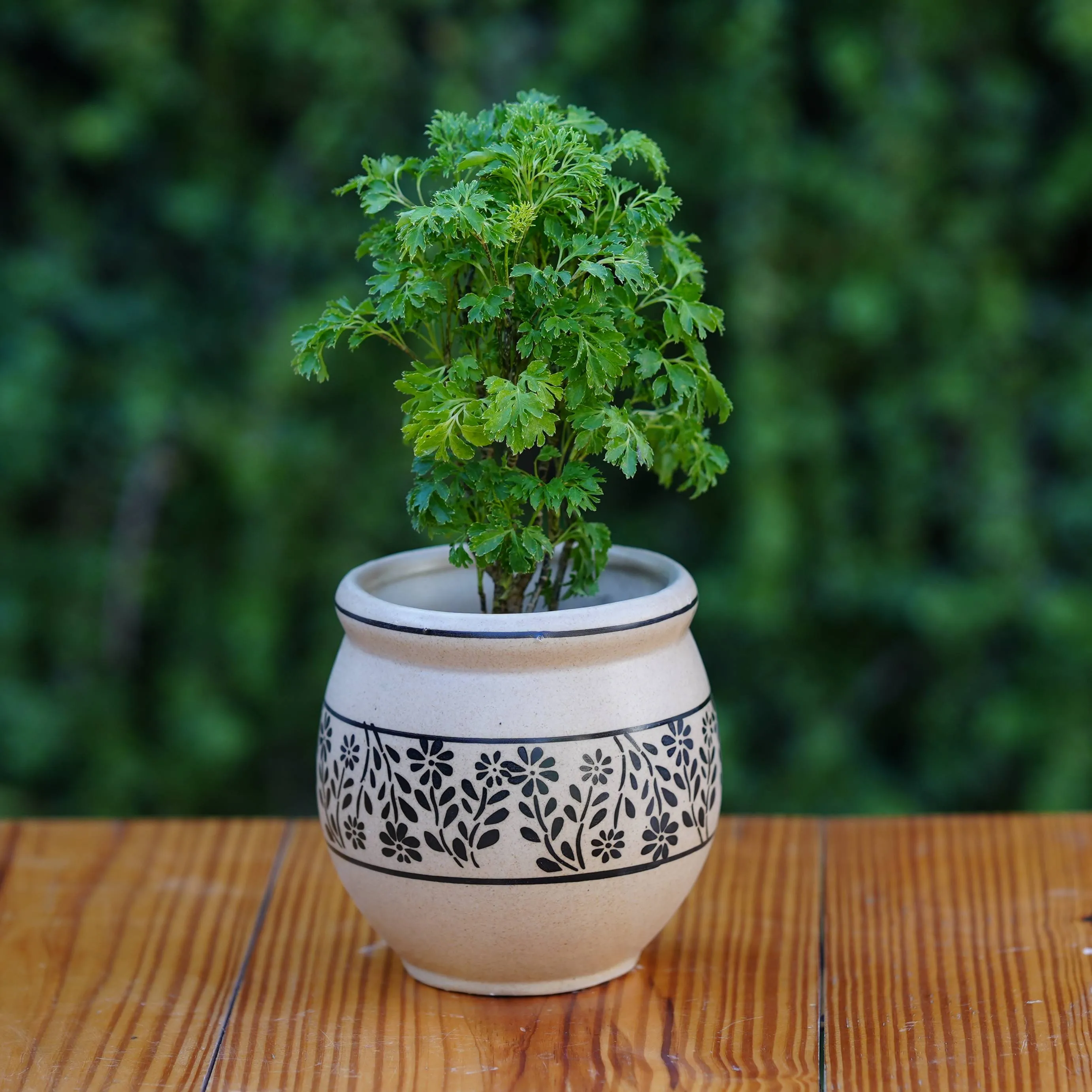 Artisanal Ceramic Planter with Leafy Motif