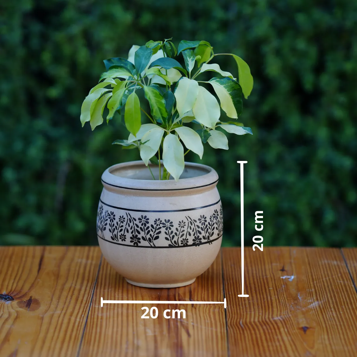 Artisanal Ceramic Planter with Leafy Motif