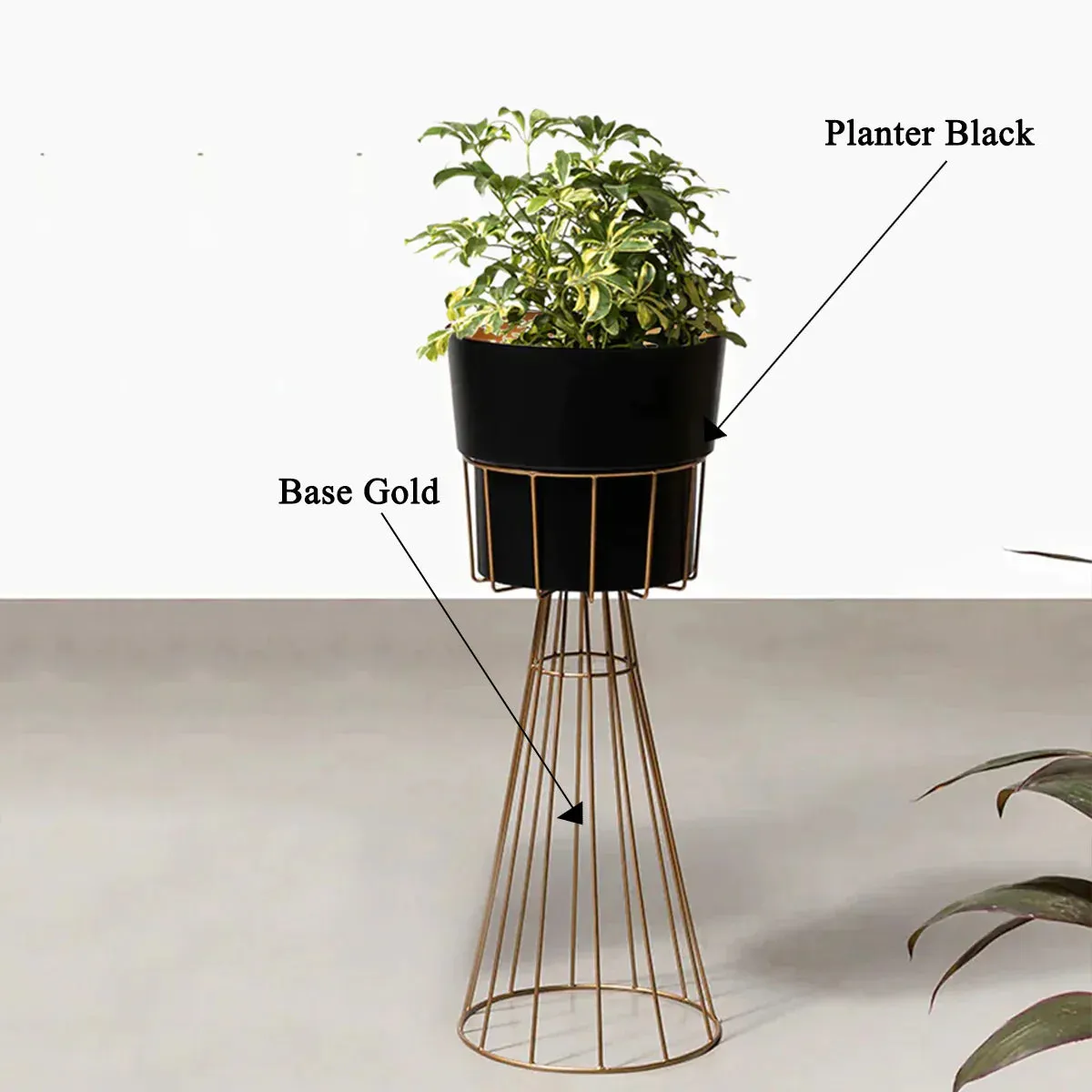 Avant-Garden Planters - Small - Black