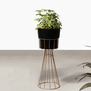 Avant-Garden Planters - Small - Black