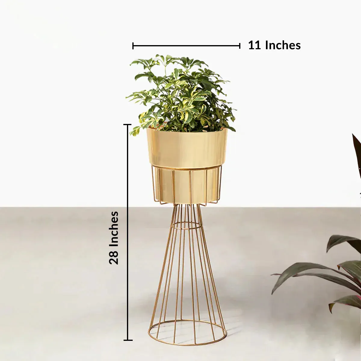 Avant-Garden Planters - Small - Gold