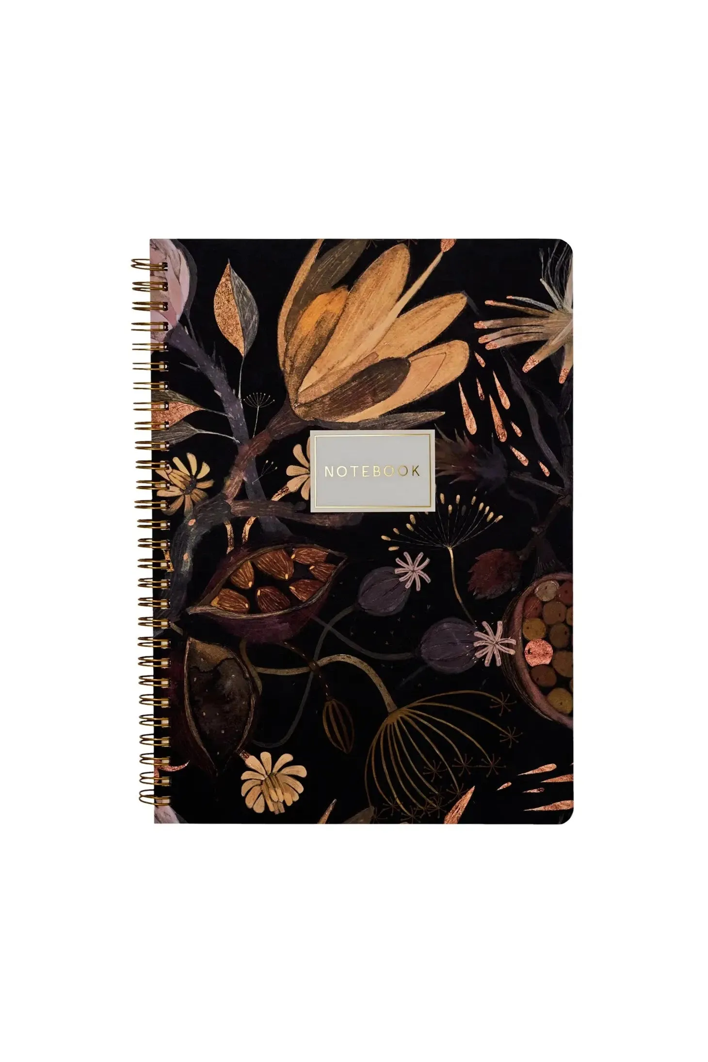 Bruno Visconti Spiral Notebooks