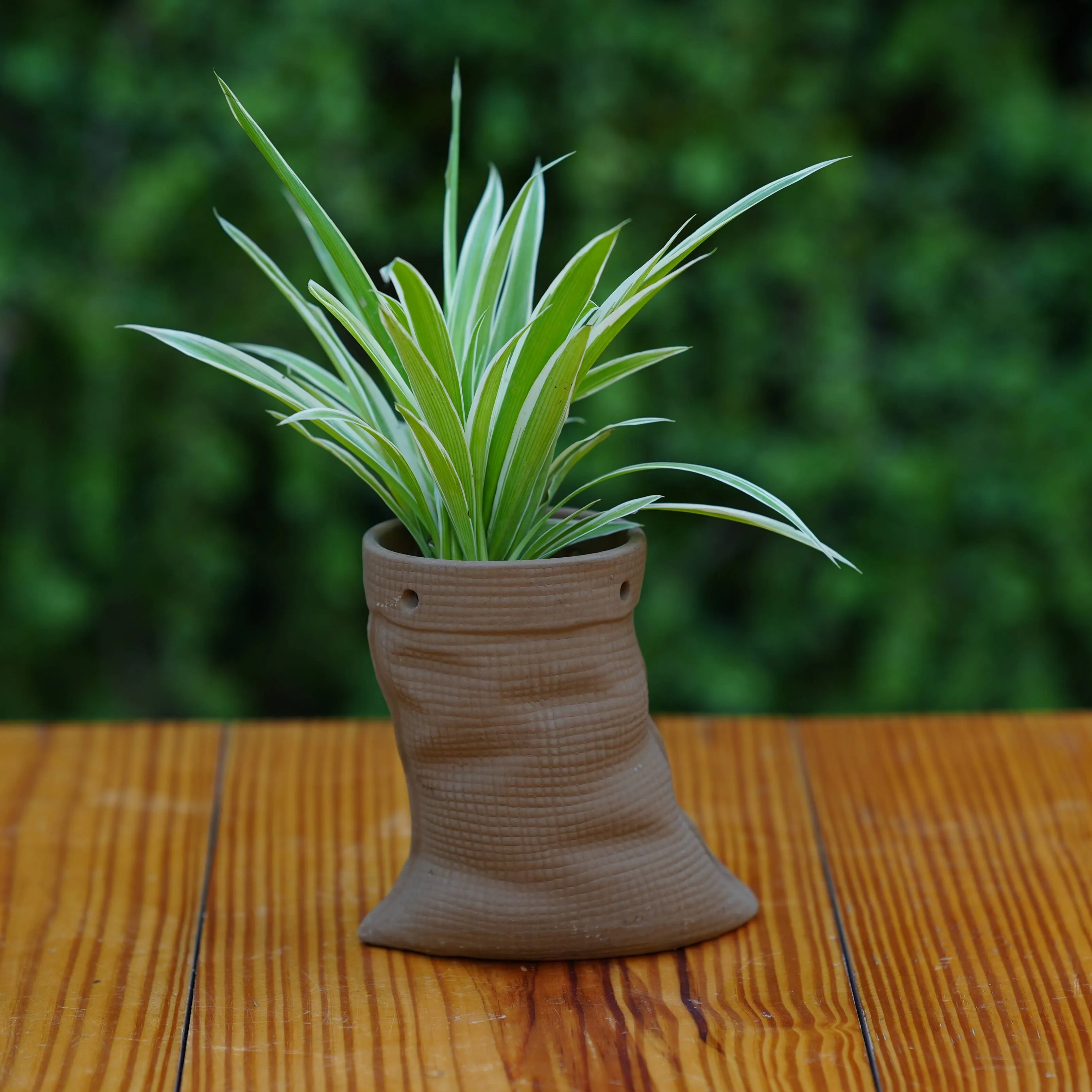 Ceramic Artisanal Grooved Tapered Pot/ Planter For Plants