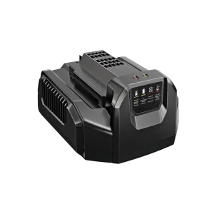 CH2100 EGO 56V 210W Charger