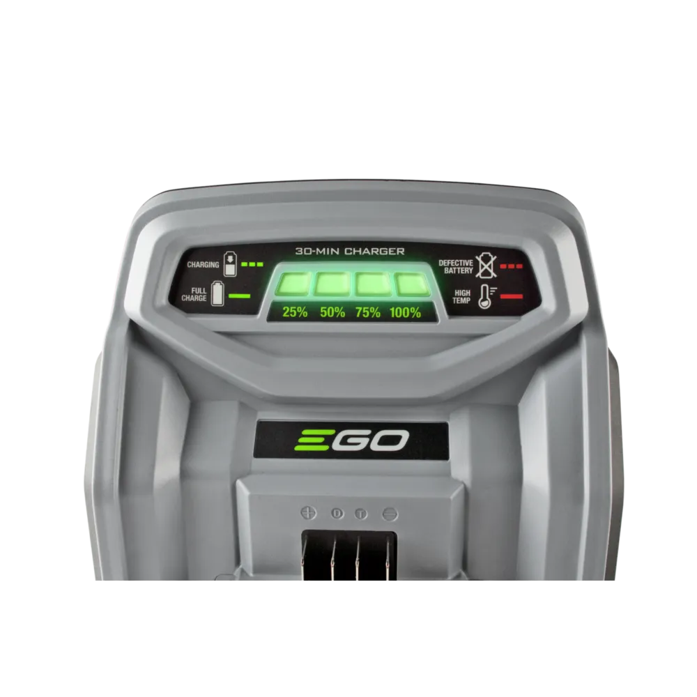 CH5500 EGO 56V 550W Rapid Charger