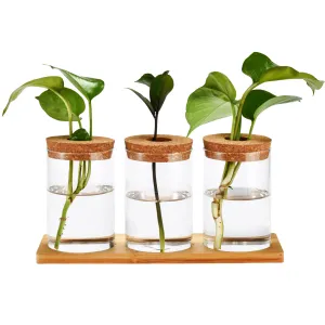 Desktop Plant Terrarium Vase With Lid, Set Of 3 - Glass Vase Hydroponic