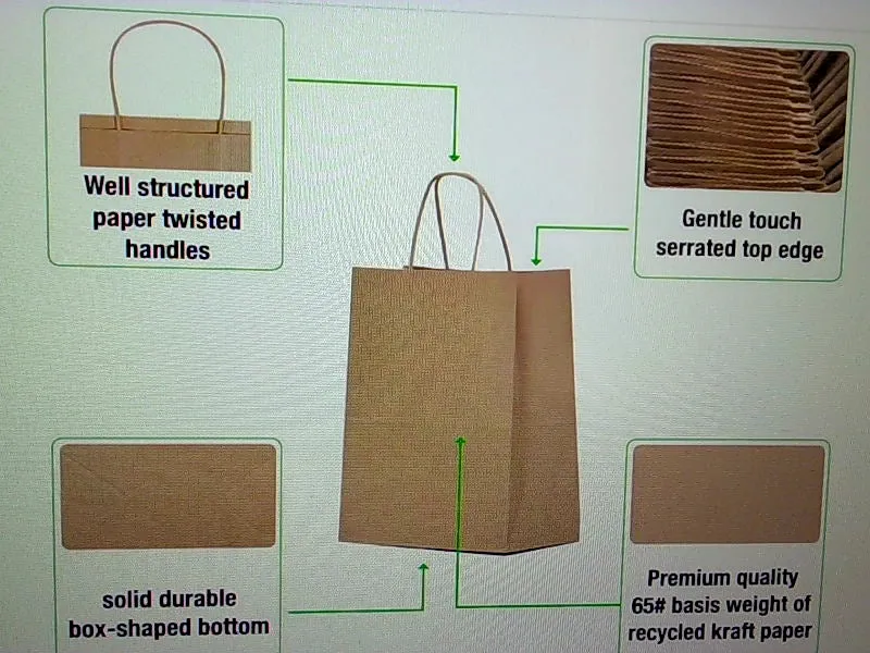 Eco Friendly Brown Kraft Paper Bags with Handles 10x5x13 100pcs