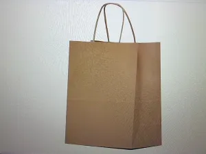 Eco Friendly Brown Kraft Paper Bags with Handles 10x5x13 100pcs