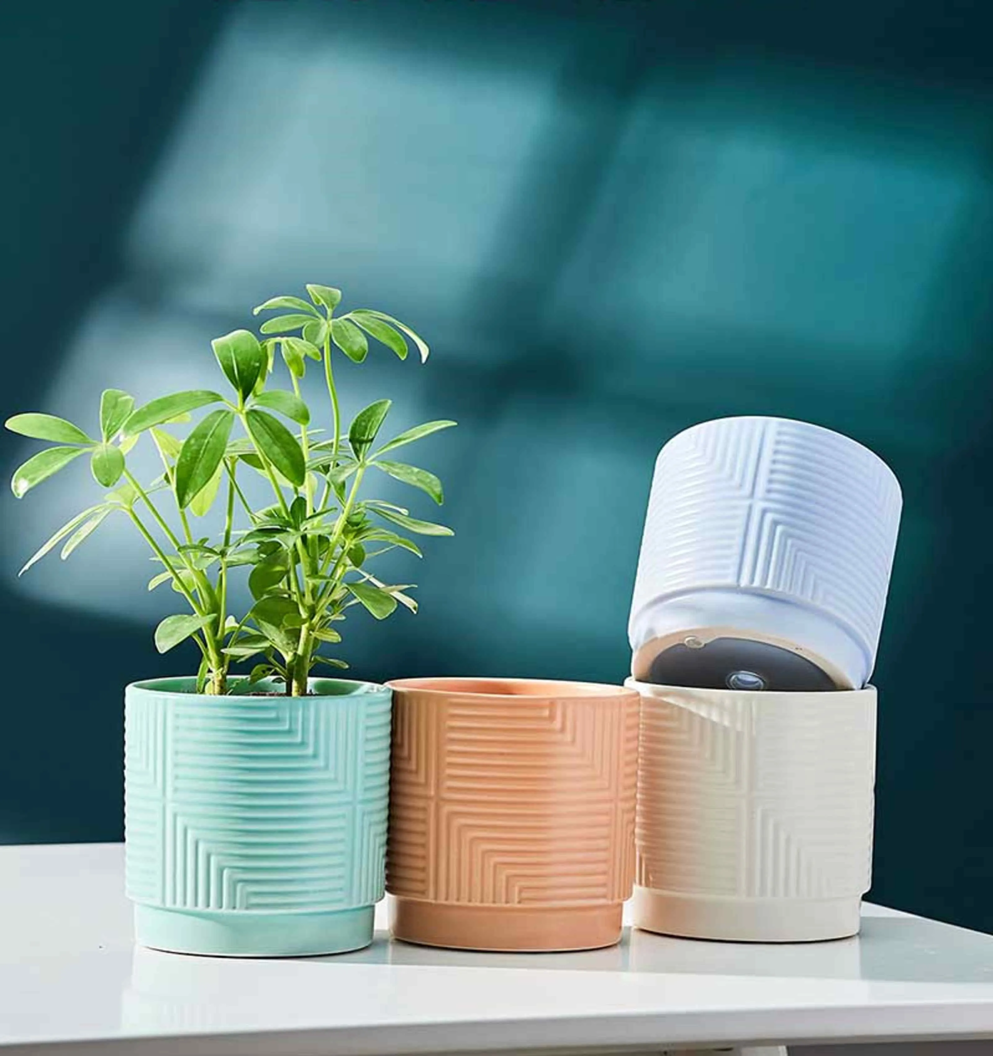 Embossed Ceramic Plant Pot - Decorative Indoor Planter