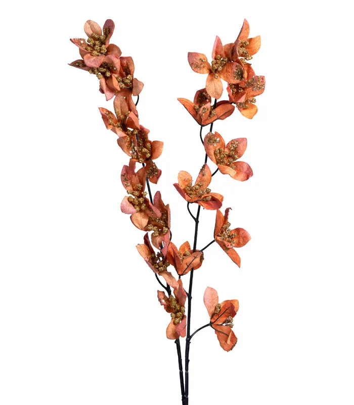 Forsythia Orange - set of 2