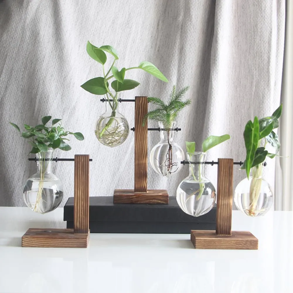 Glass and Wood Vase Planter Terrarium Table Desktop Hydroponics Plant