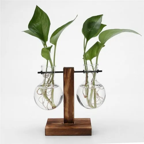 Glass and Wood Vase Planter Terrarium Table Desktop Hydroponics Plant