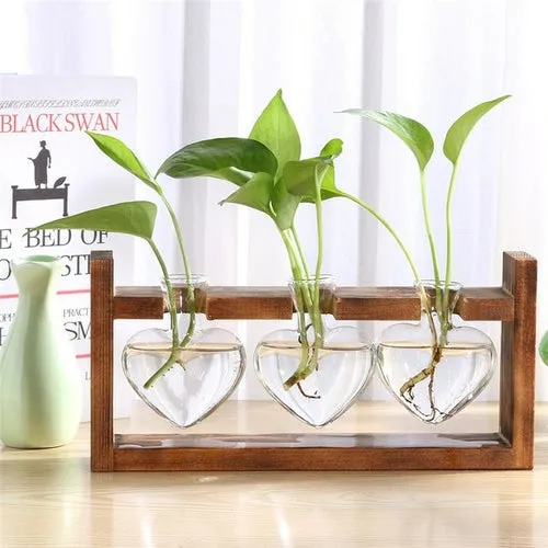 Glass and Wood Vase Planter Terrarium Table Desktop Hydroponics Plant