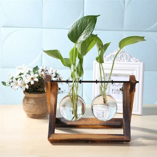 Glass and Wood Vase Planter Terrarium Table Desktop Hydroponics Plant