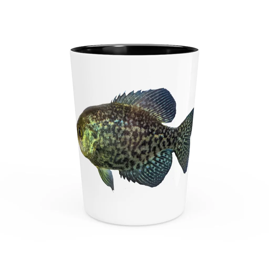 Golden Fish Shot Glass