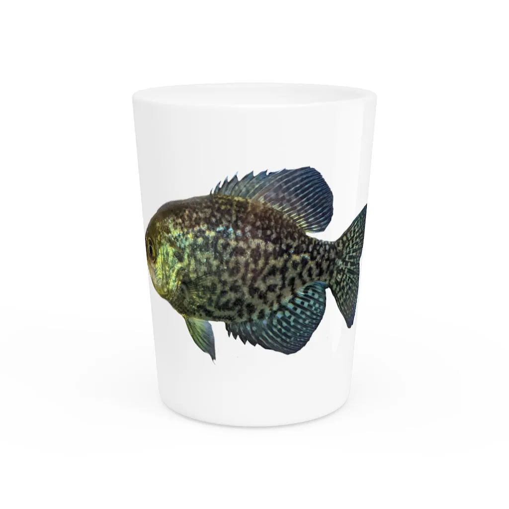 Golden Fish Shot Glass