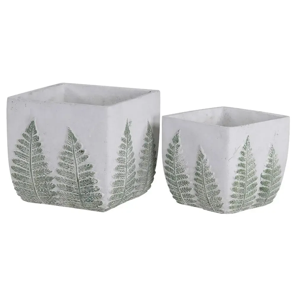 Green Fern Square Planter - Small OR Large