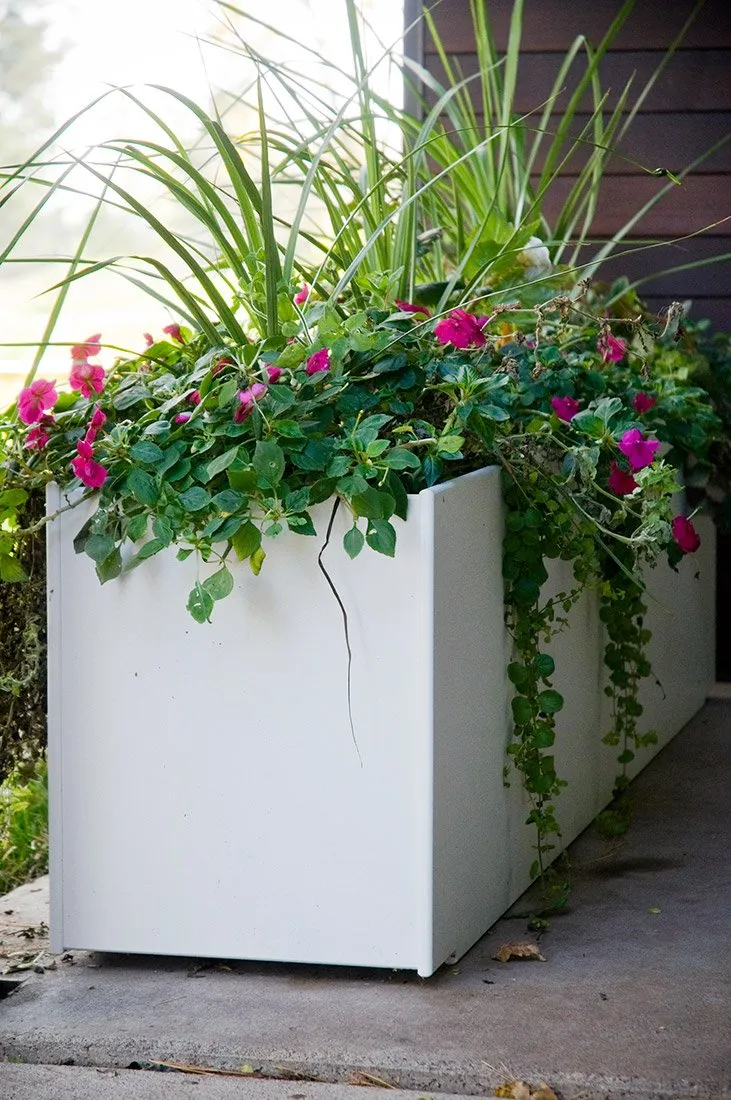 Mondo Quint Planter (60 Gallon)