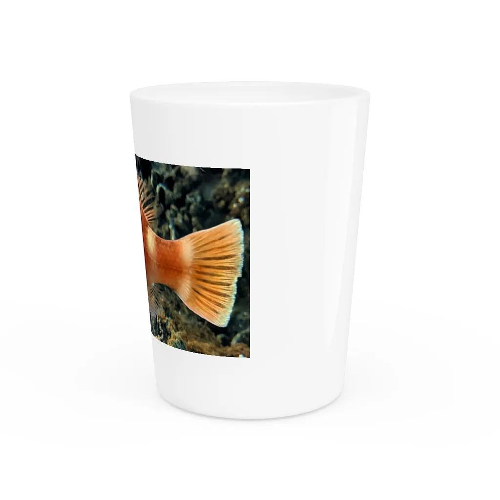 Orange Fish Shot Glass