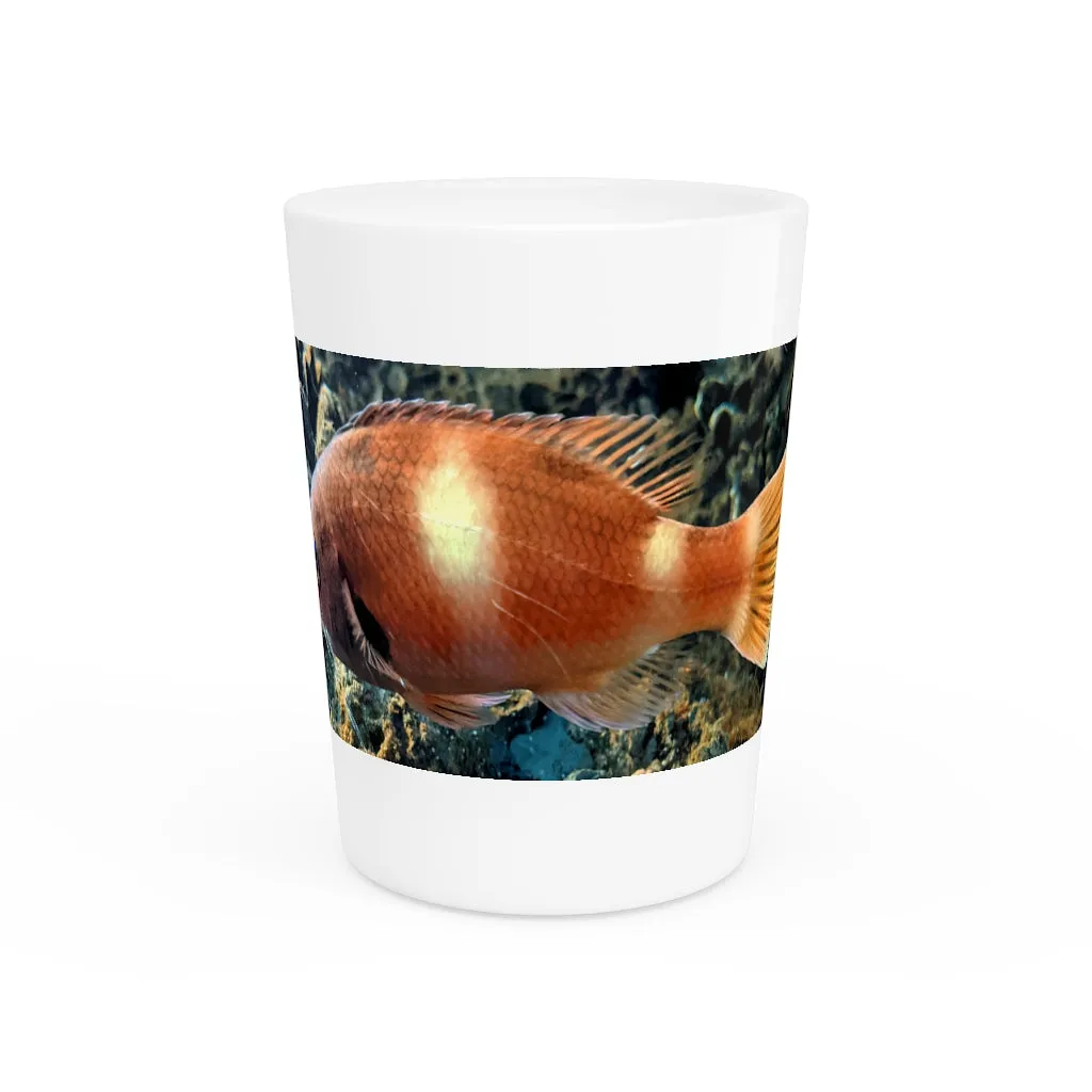 Orange Fish Shot Glass