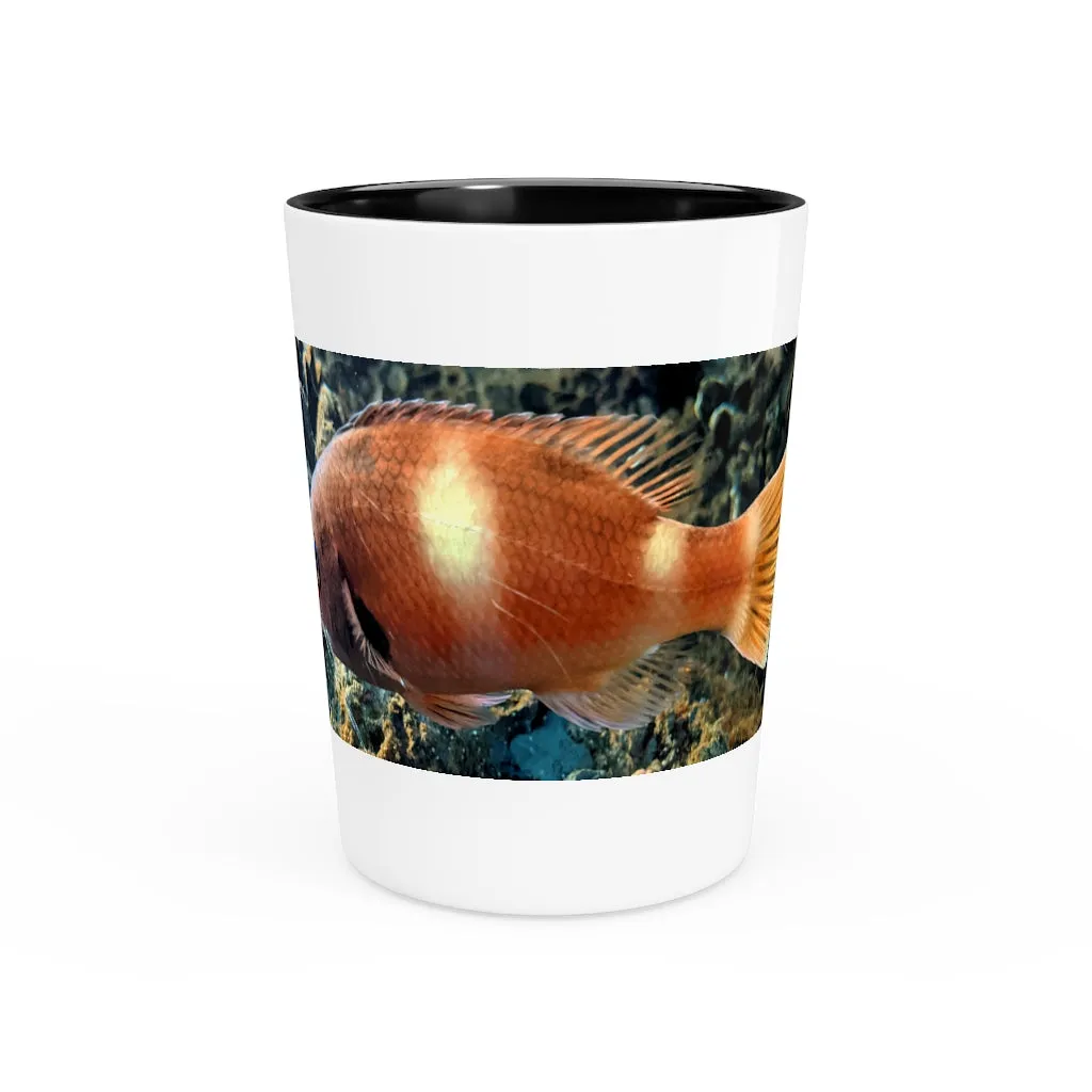 Orange Fish Shot Glass