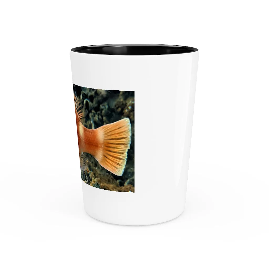 Orange Fish Shot Glass