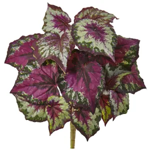 Wax Begonia Bush (Set of 6)